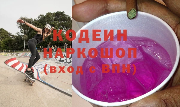 МДПВ Бородино