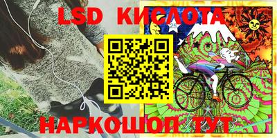эйфоретик Краснодар