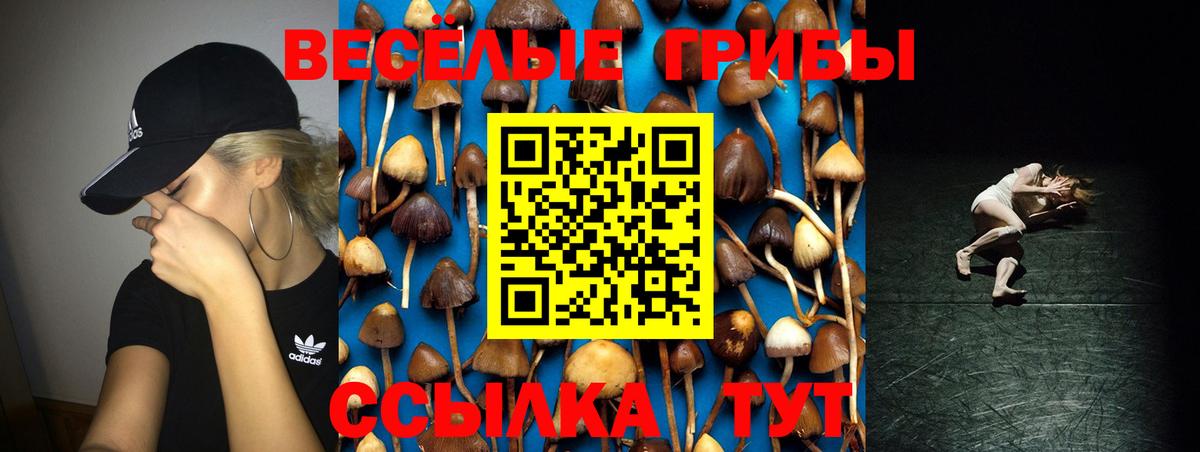 Галлюциногенные грибы MAGIC MUSHROOMS  Вход с VPN  Вязьма 